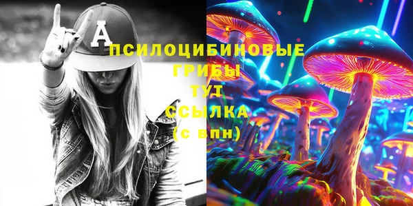 мяу мяу мука Абаза